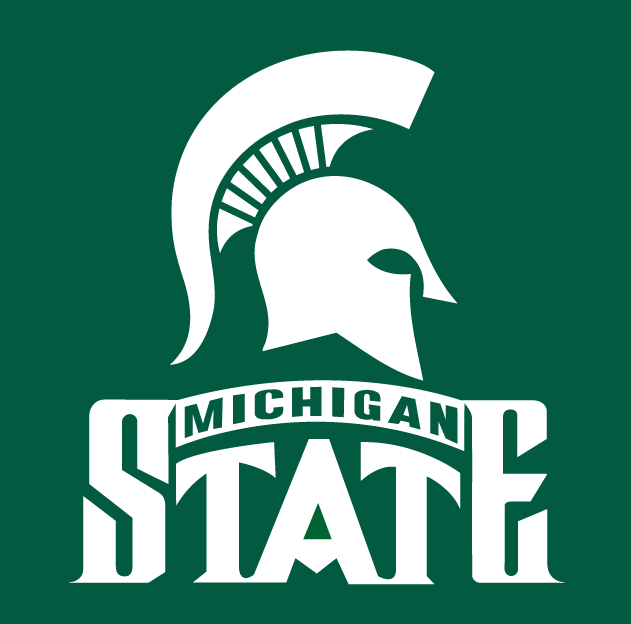 Michigan State Spartans 1987-Pres Alternate Logo v2 iron on transfers for fabric